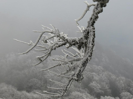 Như[-]Hùng